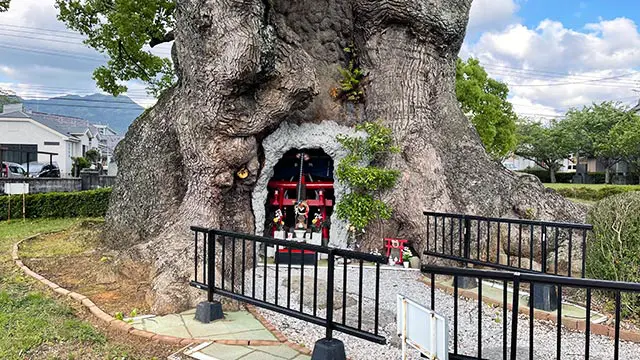 川古の大楠の中にあるお稲荷さん