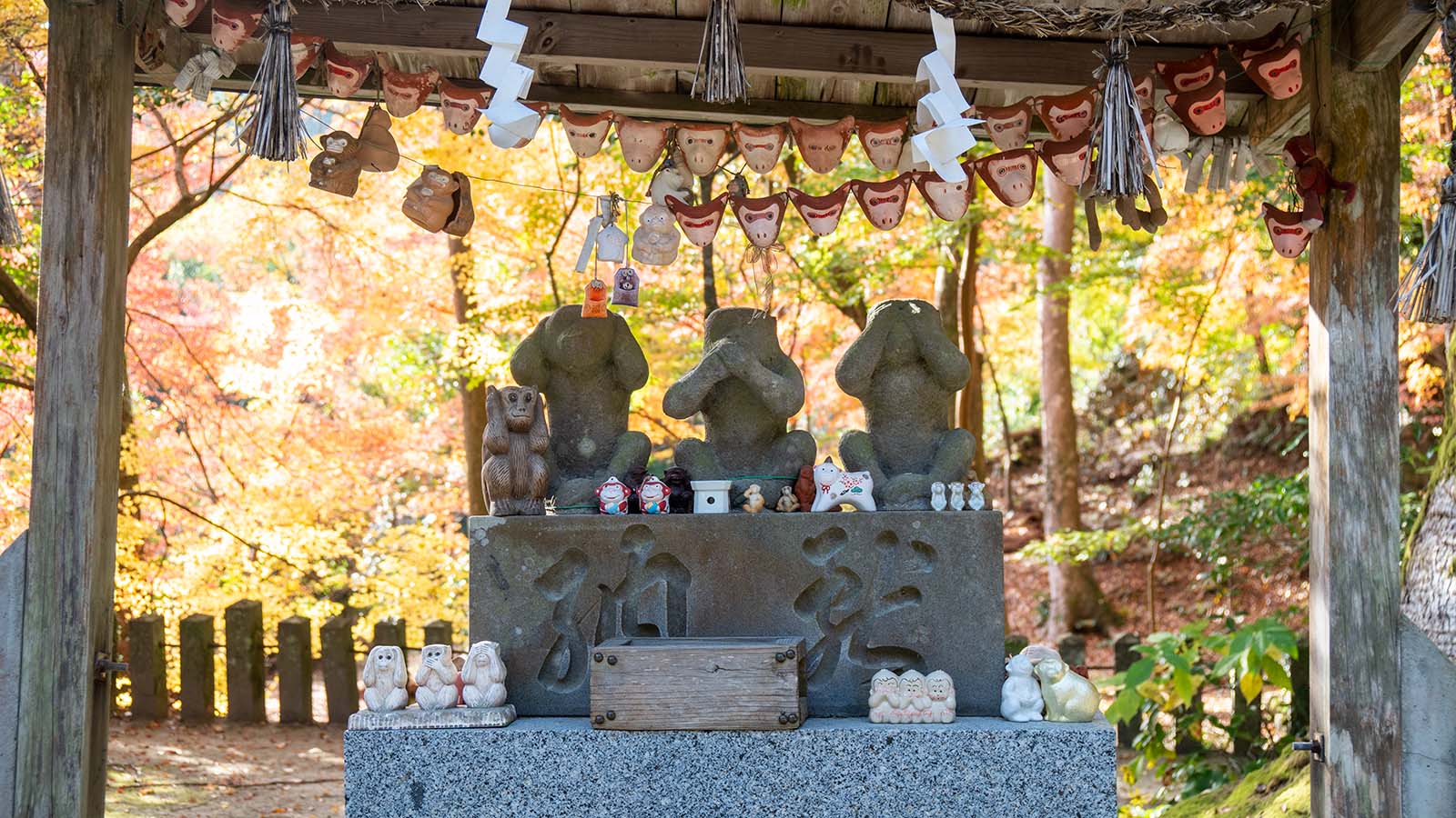 仁比山神社の猿