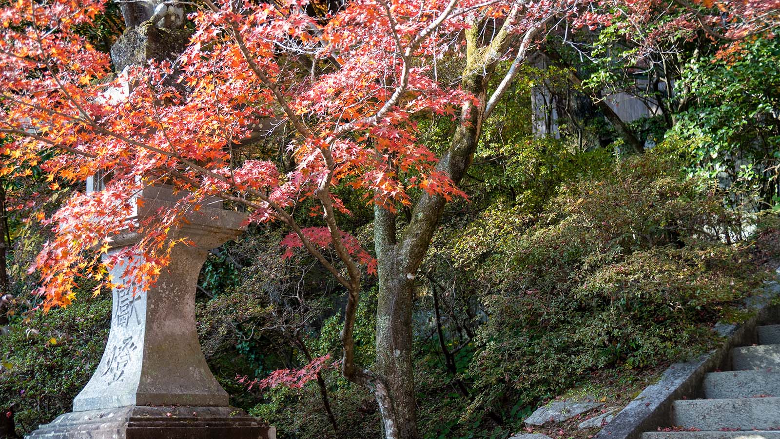 仁比山神社の灯籠