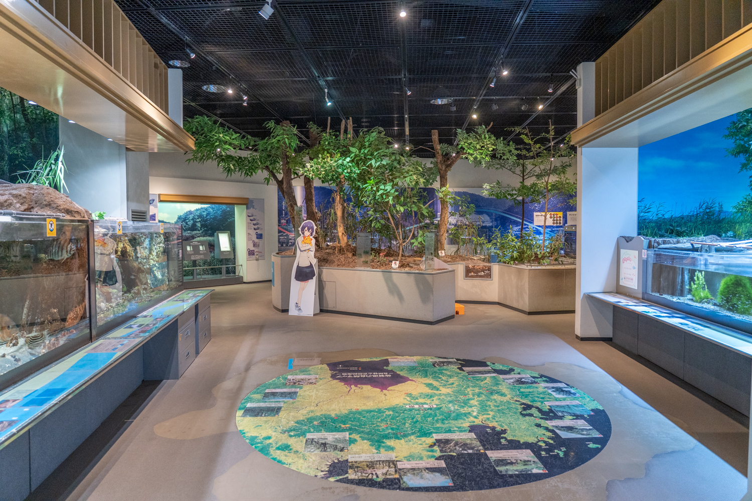 佐賀県立 宇宙科学館 ゆめぎんが アクアリウム 水野愛 パネル