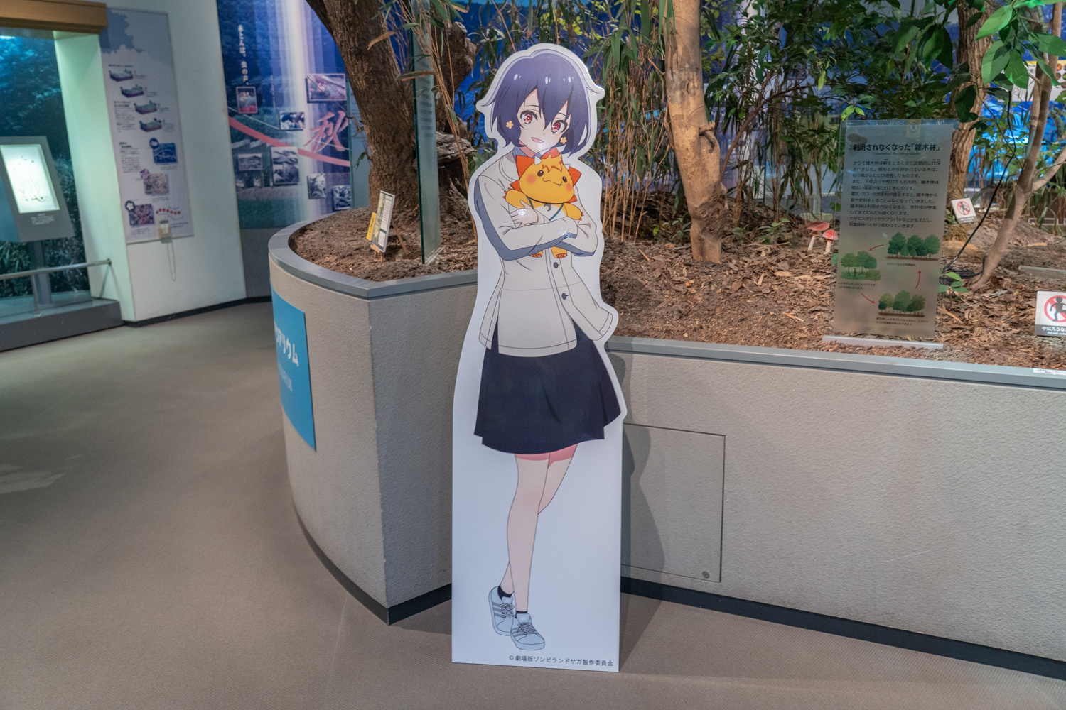 佐賀県立 宇宙科学館 ゆめぎんが 水野愛 パネル